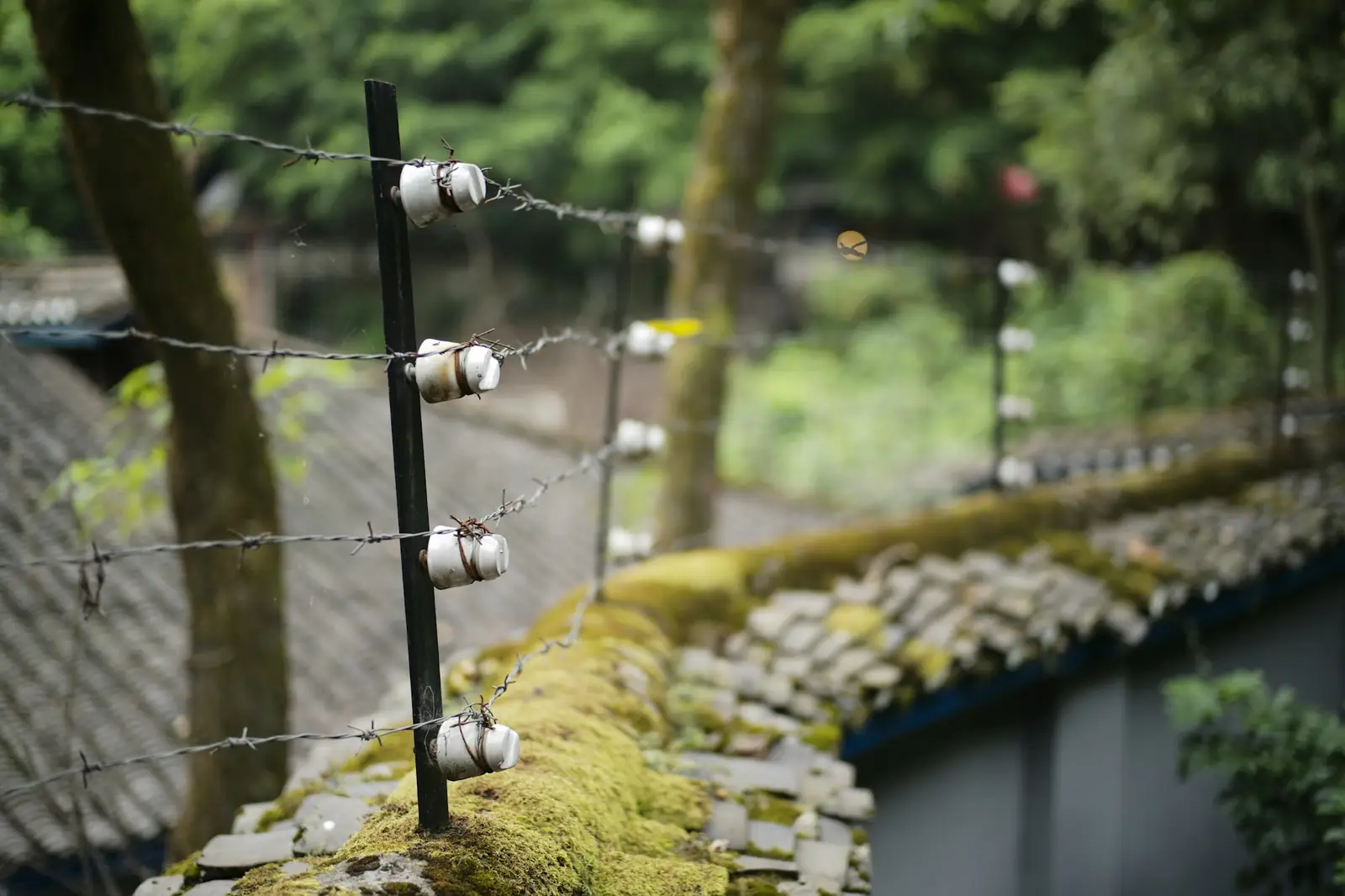 Electric fence wires and insulators on top of a perimeter wall
