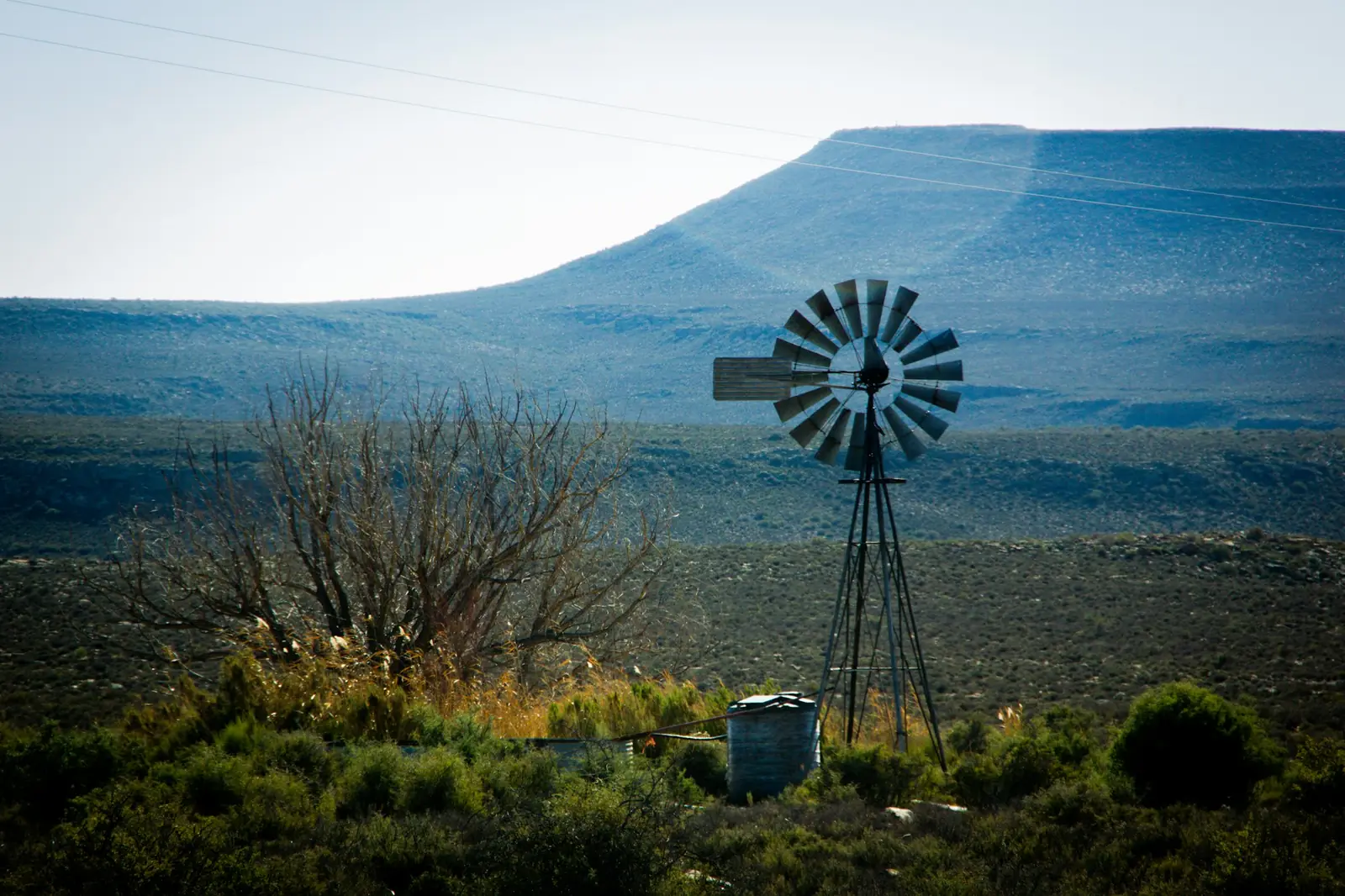 Windmill on a rural farm property